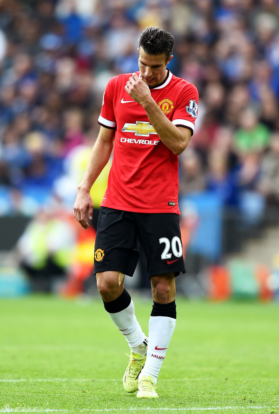 五大联赛仍有三支球队联赛不胜：狼队、维罗纳、佛罗伦萨（五大联赛仅剩三队未尝胜绩：狼队、维罗纳、佛罗伦萨）