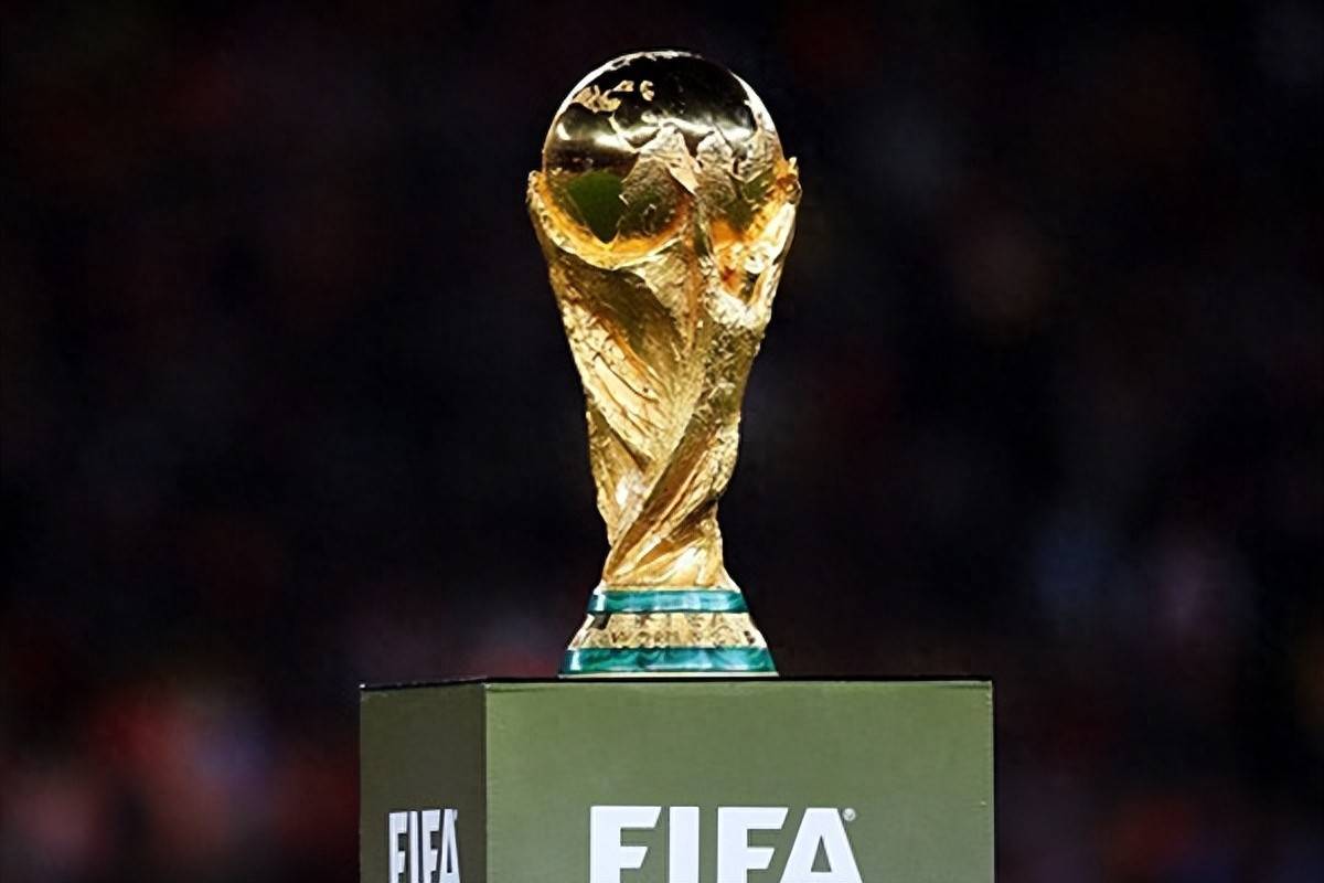 自称海牛翻译的用户：海牛不欠兰克尔-泽工资，还给他预支钱（自称海牛翻译者称：海牛未欠兰克尔-泽薪水，反而曾预支款项）